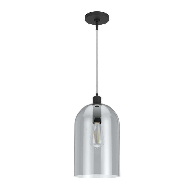 One Light Pendant from the Lochmeade Collection in Natural Black Iron Finish by Hunter
