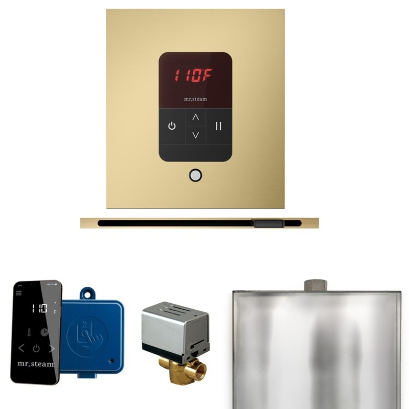 Steam Kit Basic Butler Linear Satin Brass Control Package Linear Square