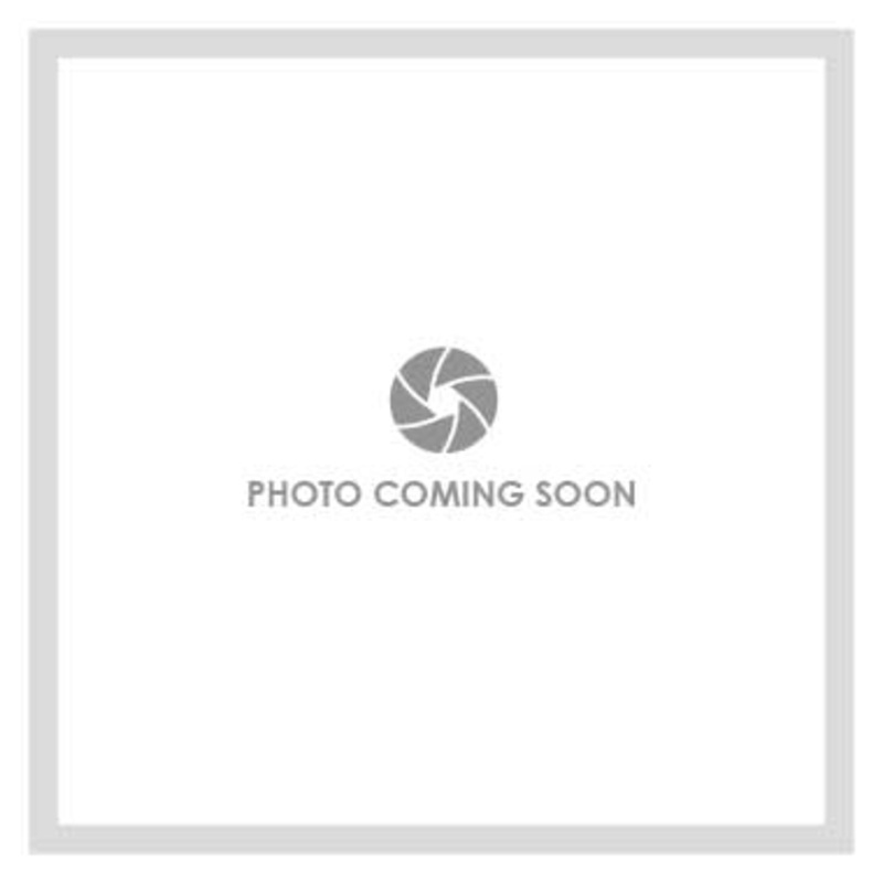 Shower Door Gemini 48 Inch Matte Black Tempered 3/8 Inch