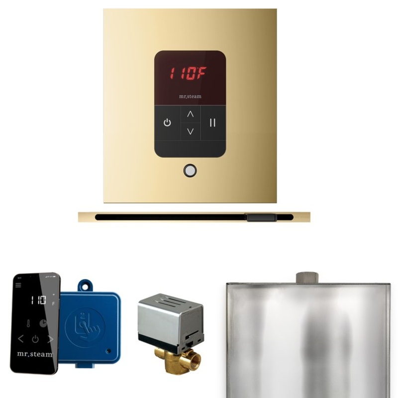 Steam Kit Basic Butler Linear Polished Brass Control Package Linear Square