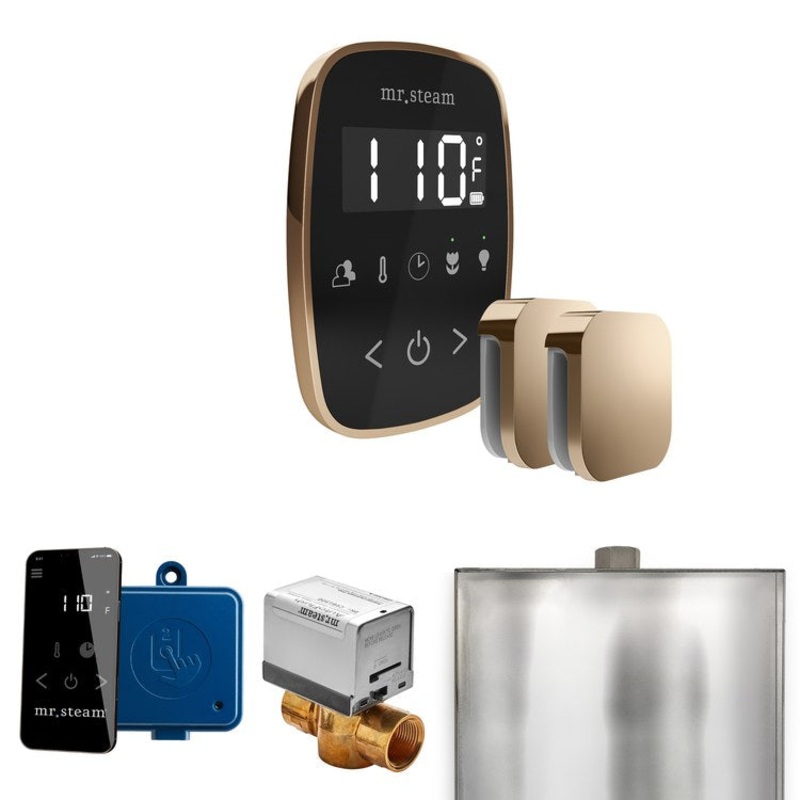 Steam Kit ButlerFlex Max Black/Polished Gold Control Package for MS4/MS5/MX6