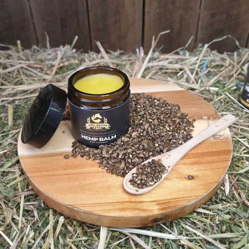 Vital Equine | Hemp, Comfrey & Arnica Balm 120g