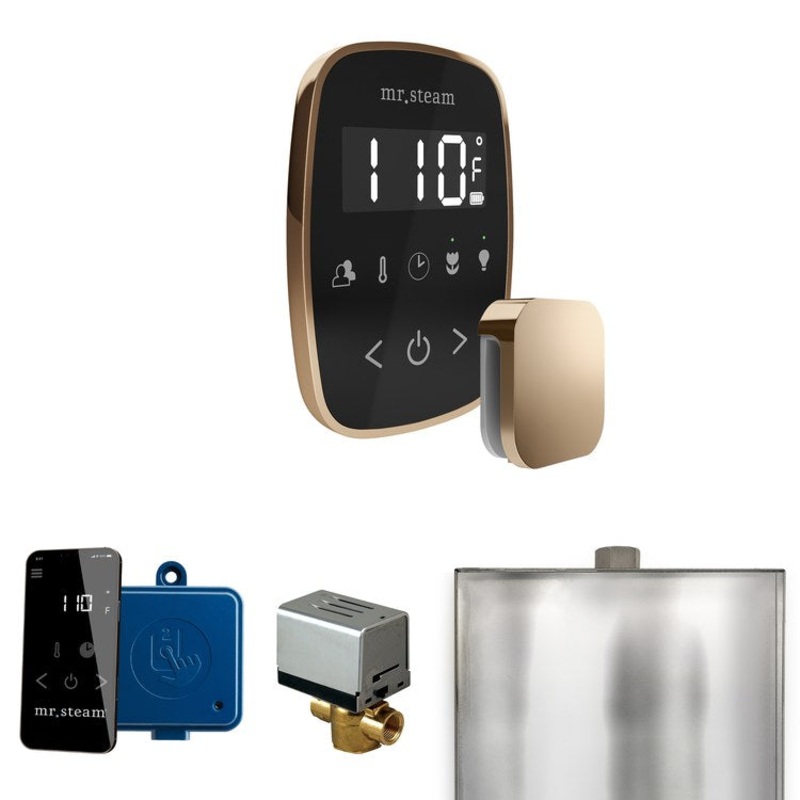 Steam Kit ButlerFlex Black/Polished Gold Control Package for MS90 to MSSUPER3