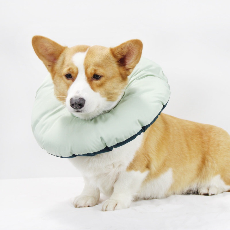 Green Adjustable Soft Elizabethan Collar for Pets – Comfortable Recovery Aid – L
