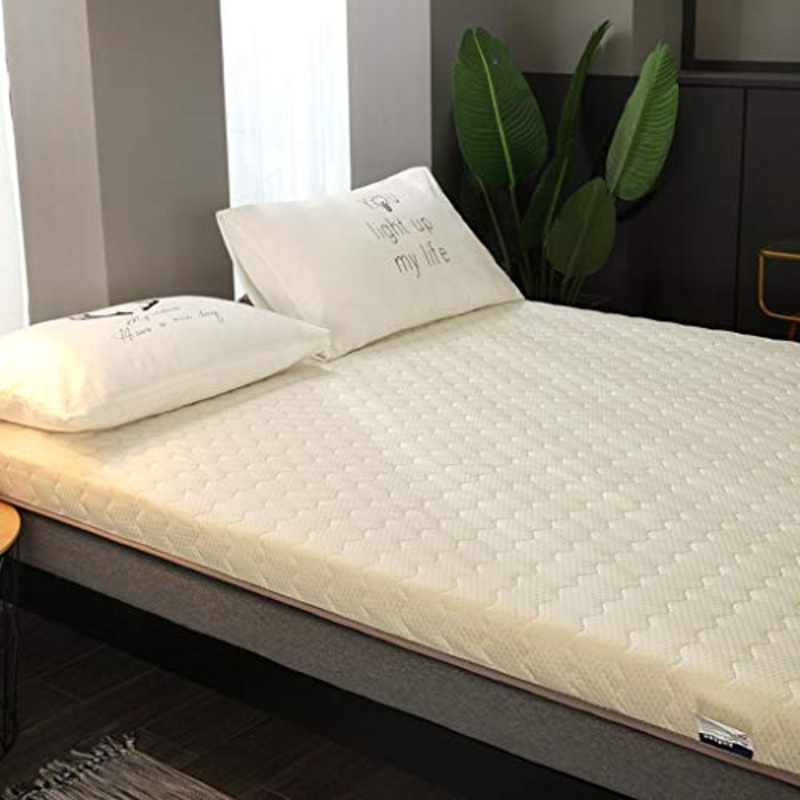 huan Futon Materassi stuoia di Tatami, futon Giapponese Comodo Materasso Materasso Pieghevole di Dormire in Tatami, copriletto Tappetino Perfettamente Coverlet (Colore : C, Size : 100X200CM)