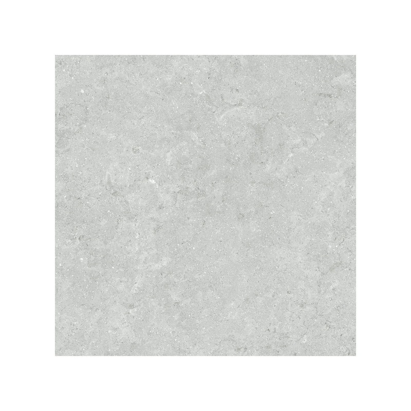 20″ x 20″ Coliseo Platinum Matte Porcelain Tile 20″ x