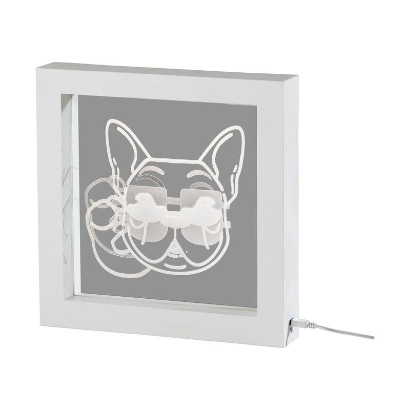 Cool Dog Video Light Box White