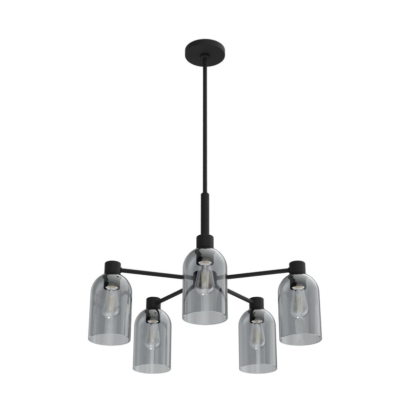 Five Light Chandelier from the Lochmeade Collection in Natural Black Iron Finish by Hunter