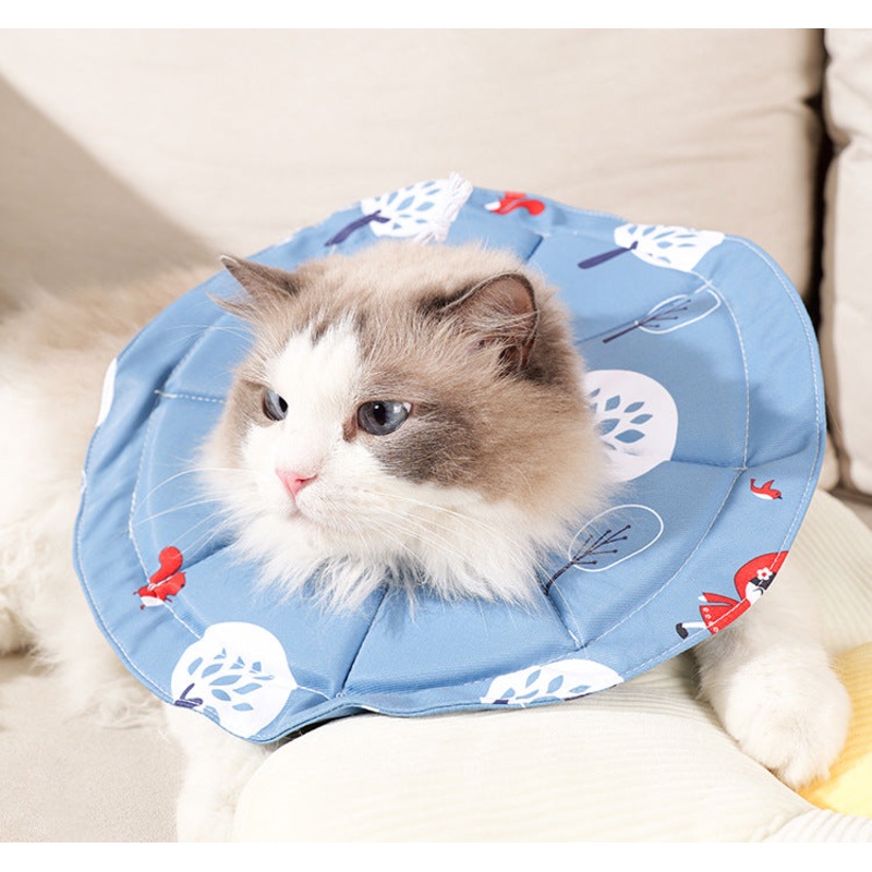 2 Pcs Size L Blue Comfortable Pet Recovery Collar | Waterproof Anti-Lick Collar for Cats & Dogs