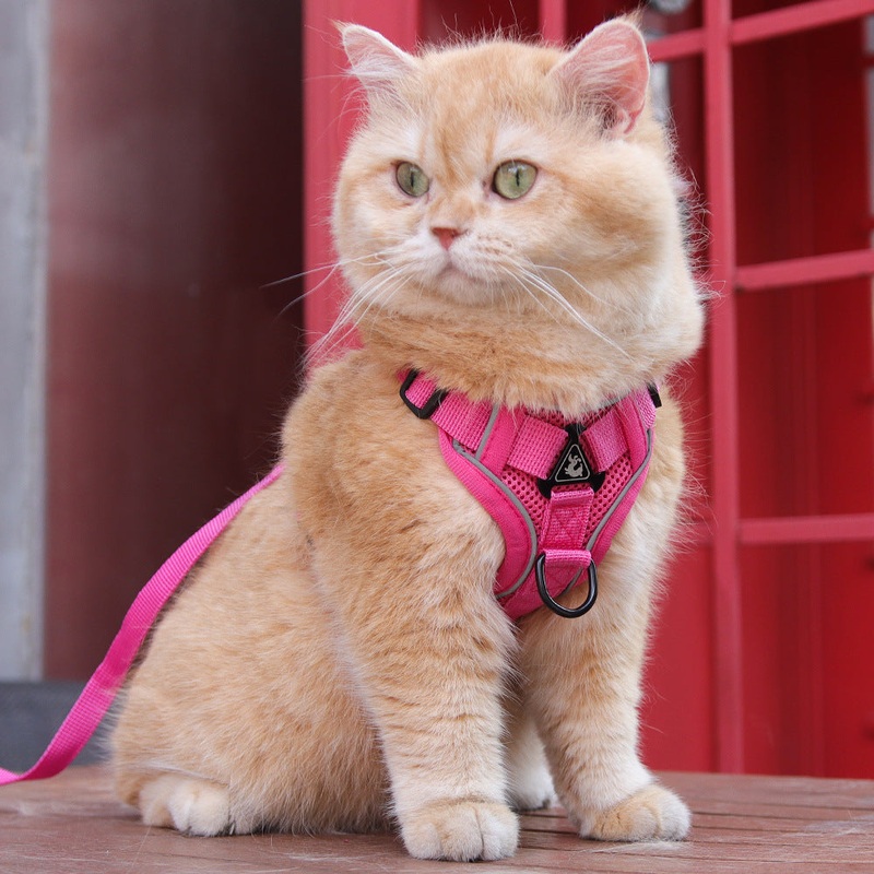 Rose Red Reflective Mesh Dog Harness and Leash Set – Adjustable No-Pull Vest – L