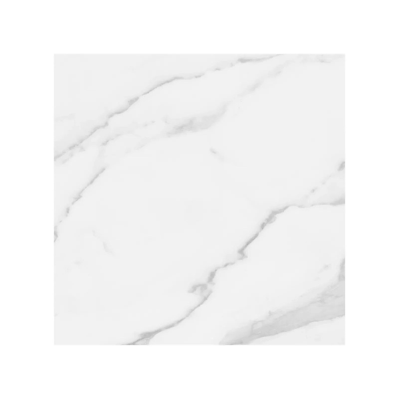 24″ x 24″ Plata Statuario M Matte Brina 24″ x